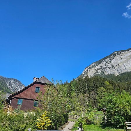 Premium Apartment Mit Privatem Whirlpool, Sauna, Garten Sankt Martin am Grimming Exterior foto